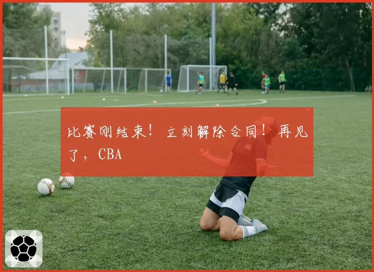 比赛刚结束！立刻解除合同！再见了，CBA