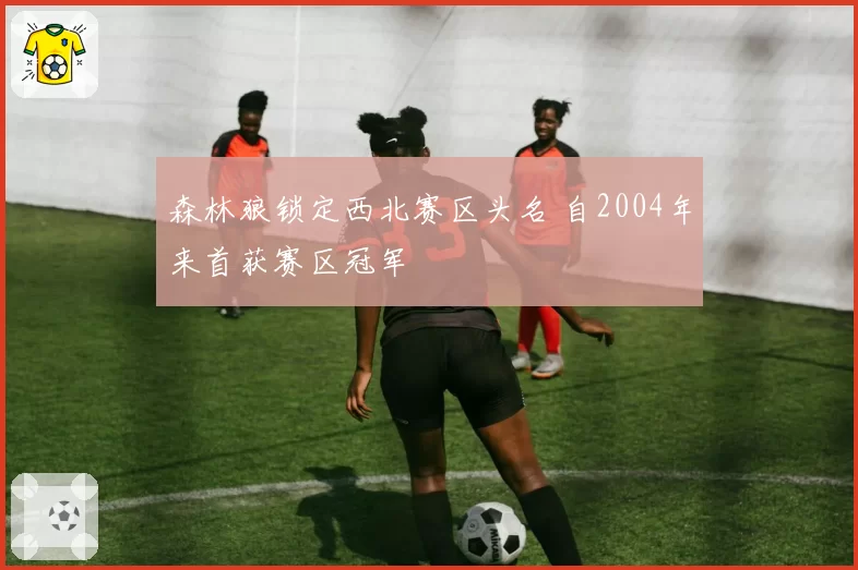 森林狼锁定西北赛区头名 自2004年来首获赛区冠军