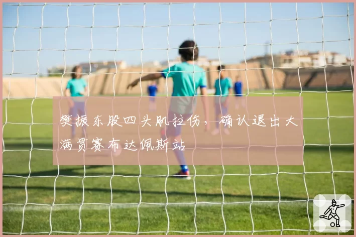 樊振东股四头肌拉伤,确认退出大满贯赛布达佩斯站